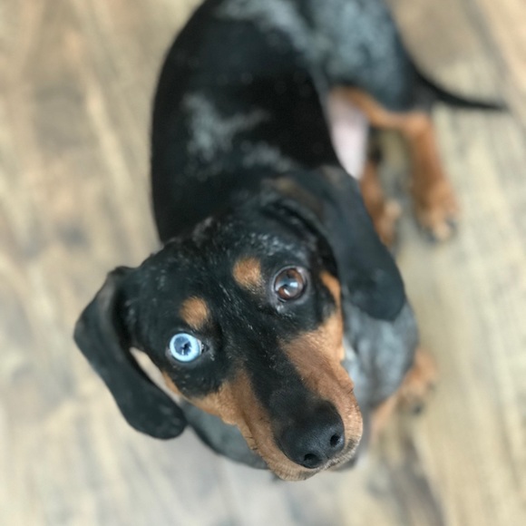 Meet your Posher, Marissa - Picture 5 of 5